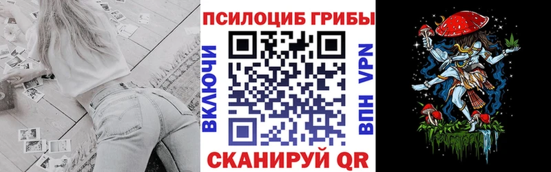 Купить  Южа  Псилоцибиновые грибы Magic Shrooms 